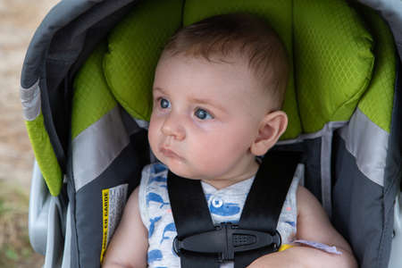 Portrait of cute little infant baby boy sitting in modern pram with seatbelt tied for safety while...