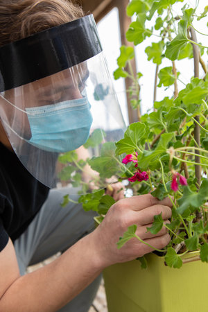 Close up, side view of a man trying to smell a flower through several layers of safety covid protections, included a face mask and a plastic visor.の写真素材