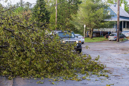 Street view in a small village in rural Quebec in the aftermath of a powerful storm. Uprooted trees...