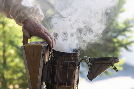 Beekeeper operating a smoker to produce cool smoke in order to calm honey bees in an apiary. Selective focusの写真素材