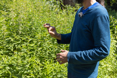 Herbalist wearing a microphone is explaining about medicinal plants in a sunny field. Selective...