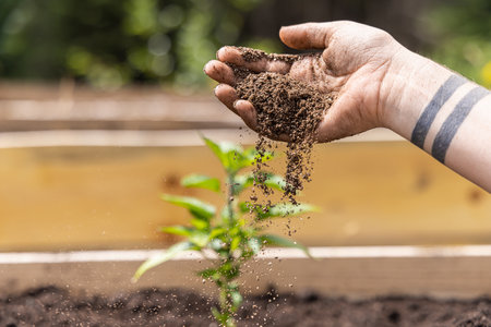 Gardener carefully fertilizes soil around a plant sprout in a vibrant garden, showing dedication to cultivating new life in an organic way. Selective focusの写真素材
