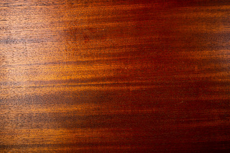Wood background or texture for panelの写真素材