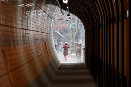 Tunnel with snow; Korea winterの写真素材