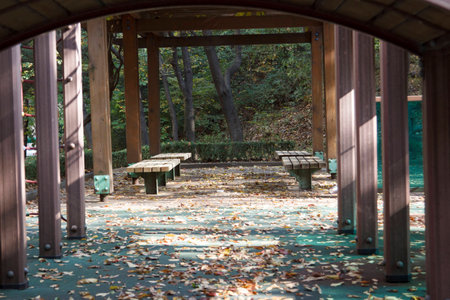 Park benches at the Autumn; Korea; nobody;