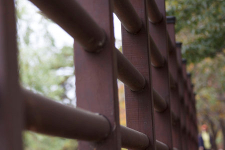 Handrail in the park.の写真素材