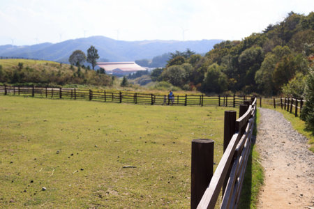 A walkway in the farm; Korea Autumnの写真素材