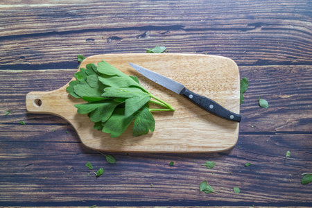 Vegetables on a cutting board, knifeの写真素材