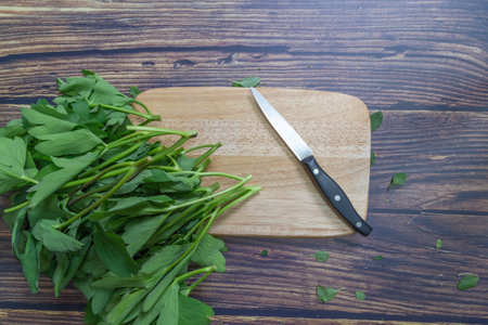Vegetables on a cutting board, knifeの写真素材