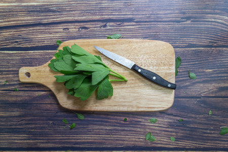 Vegetables on a cutting board, knifeの写真素材