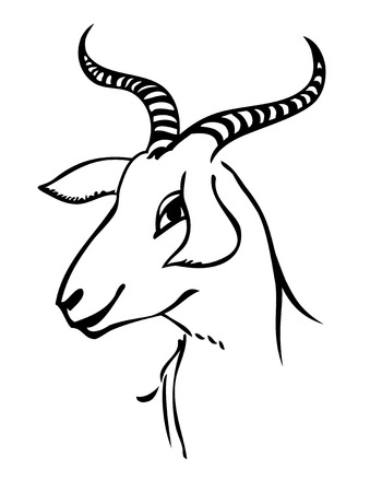 portrait of goatのイラスト素材