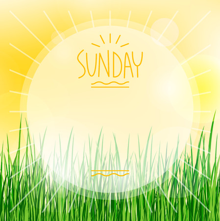 summer background with green grass  のイラスト素材