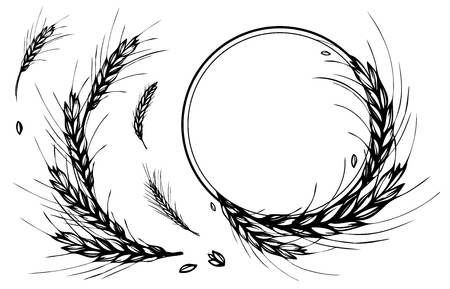 Rye, barley or wheat round frame or wreath on white background. Black and white hand drawn design for cooking, bakery, tags or labels. JPG include isolated pathのイラスト素材