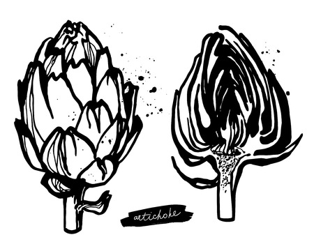 Set of black and white Artichokes. Hand drawn vegetable illustrationのイラスト素材
