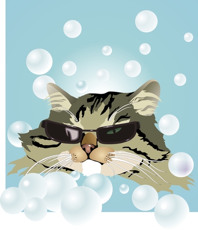 cat in glasses on the beachのイラスト素材