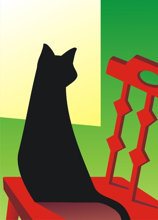 black catの写真素材