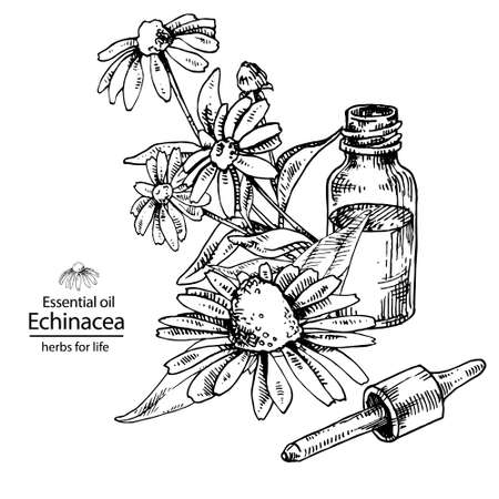 Opened echinacea oil glass bottle with dropper. For cosmetics, medicine, treating, aromatherapy, package design healthcare.のイラスト素材