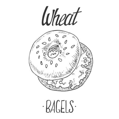 Hand drawn vector illustration of bagel with cream cheese. Label lettering with space for text. Fast food menu, cafe decorのイラスト素材