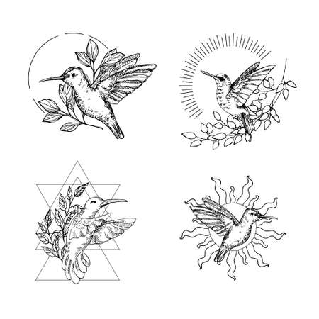 Hand drawn vector illustration of humming bird . Natural and magical outline clip art for print, card, textile design. Alchemy, magic, esoteric, occult, spiritual set.のイラスト素材
