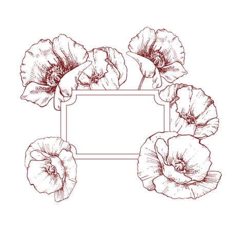 Hand drawn poppy with vintage frame. Floral design for cards, invitations, greeting and packaging. Engraved decorative flowersのイラスト素材