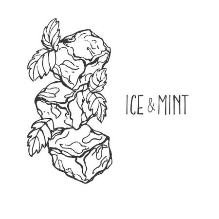 Hand drawn vector illustration ice cubes, spearmintのイラスト素材