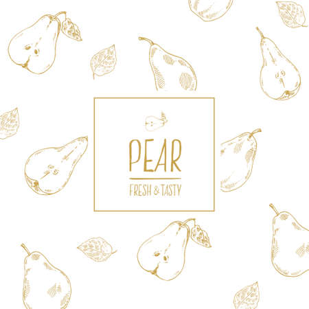 Hand drawn vector pears background with square frameのイラスト素材