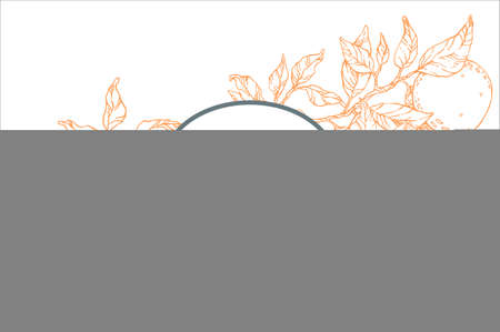 Hand drawn vector fresh orange summer fruitのイラスト素材