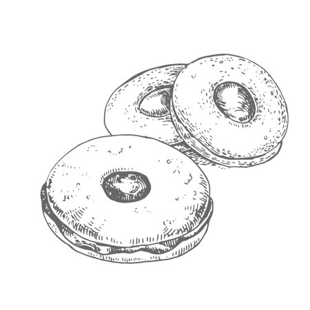 Hand drawn vector occhi di bue illustration setのイラスト素材