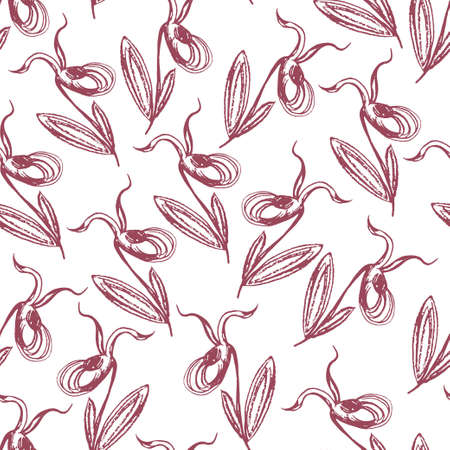 Vector doodle flower sketch taiga orchid venus slipper seamless pattern. Black outline illustration, drawing isolated on a white background, drawn by hand.のイラスト素材