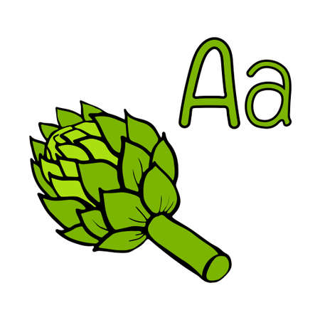 Learning letters letter A. Cartoon outline artichoke. Vector outline freehand drawing, sketch, vegetable, garden black lines, isolated white background, root vegetable. Visual materialのイラスト素材
