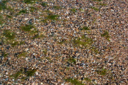 Background texture wet coarse sand beach with gravel as a building material green algae spotsの写真素材
