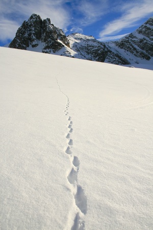 winter mountainの写真素材