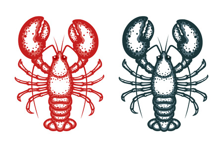 Lobster vector illustration. Crayfish isolated on white background. Vector seafood illustrationのイラスト素材