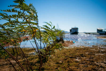 boats waiting for passengers on the banks of the river sento sÃ©, trip to juazeiro and petrolinaの写真素材