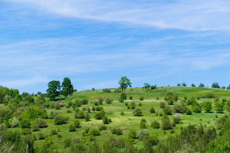 Landscape of a green field with trees and floating cloudsの写真素材