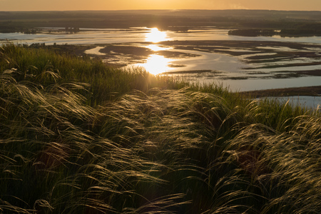 Beautiful sunset landscape with waving grass on the hill and the lake in the backgroundの写真素材