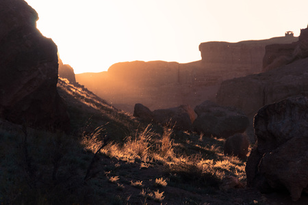 beautiful background with flying particles and swaying grass in the canyon at sunsetの写真素材