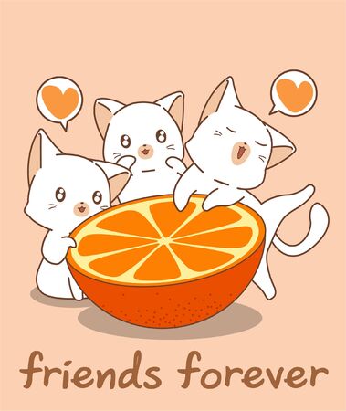 Adorable cat characters and orangeのイラスト素材