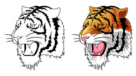 Tiger head cartoon coloring page for kidsのイラスト素材