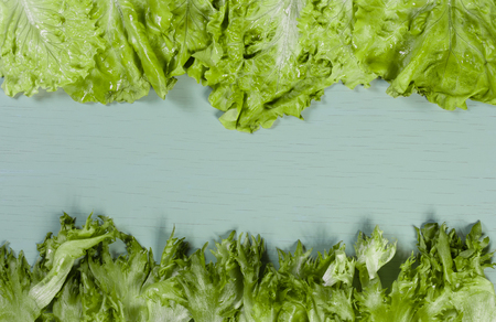 Healthy food background. Beautiful frame of herb - salad frillis and lettuce, on the tender-green board with free space for you textの写真素材