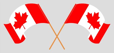 Crossed and waving flags of Canada. Vector illustrationのイラスト素材