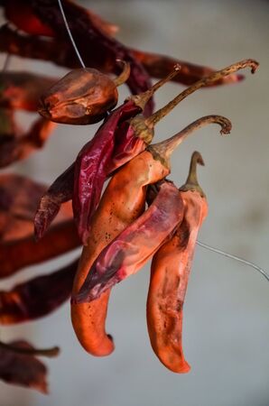A bunch of dried red hot chili peppers on a gray wall backgroundの写真素材