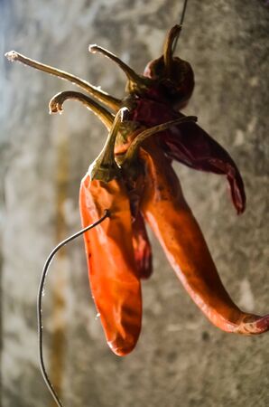 A bunch of dried red hot chili peppers on a gray wall background...の写真素材