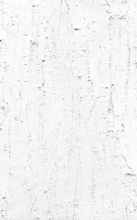 White grunge wall texture. Abstract background for design. monochrome.の写真素材