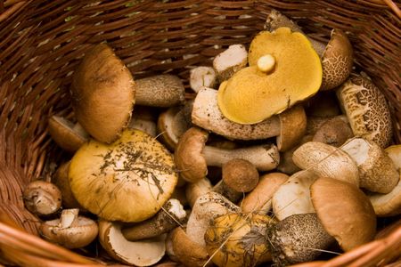 mushrooms are in a basketの写真素材