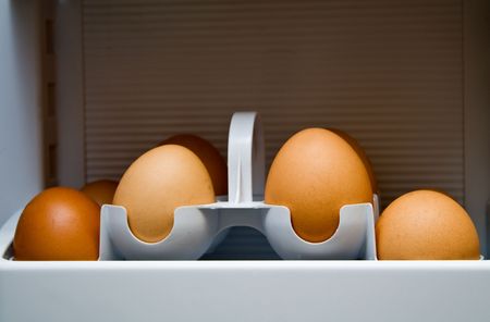 a group of eggs is in a coolroomの写真素材