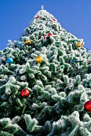 fir-tree of ukrashenaya for a holidayの写真素材