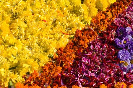chestnuts and flowers are in the beautiful background of autumnの写真素材