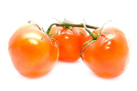 red juicy tomatoes on a white background の写真素材