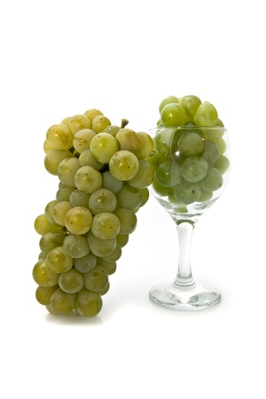 vine on a white backgroundの写真素材